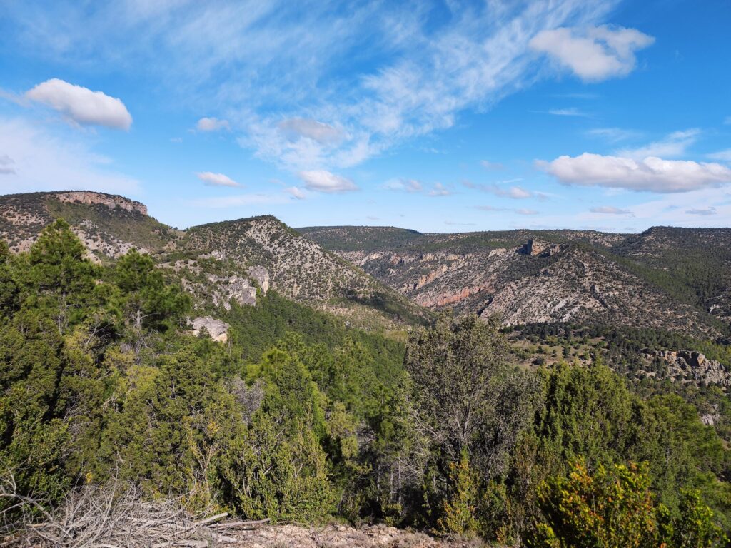 Parque Natural del Alto Tajo: ecoturismo en Castilla-La Mancha dlvr.it/T69nQP