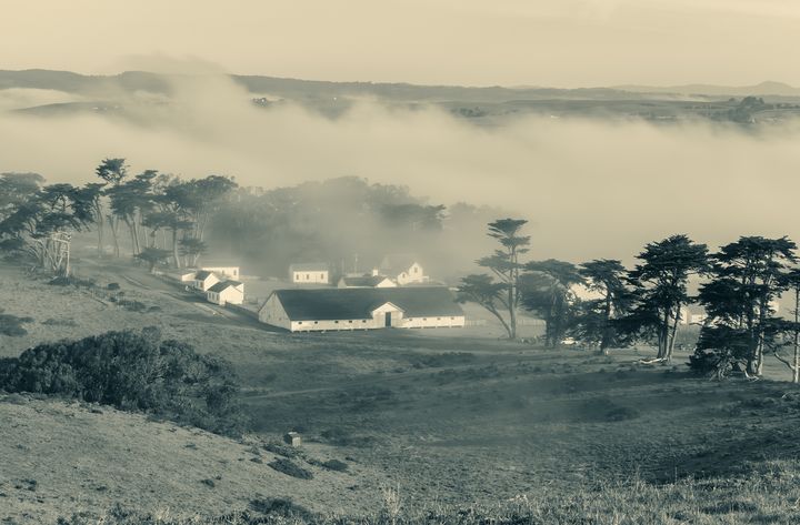 Art of the Day: 'fog over pierce ranch monochrome'. Buy at: ArtPal.com/jvnimages?i=11…