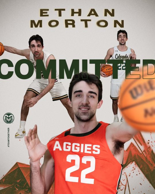 Ethan Morton tweet media