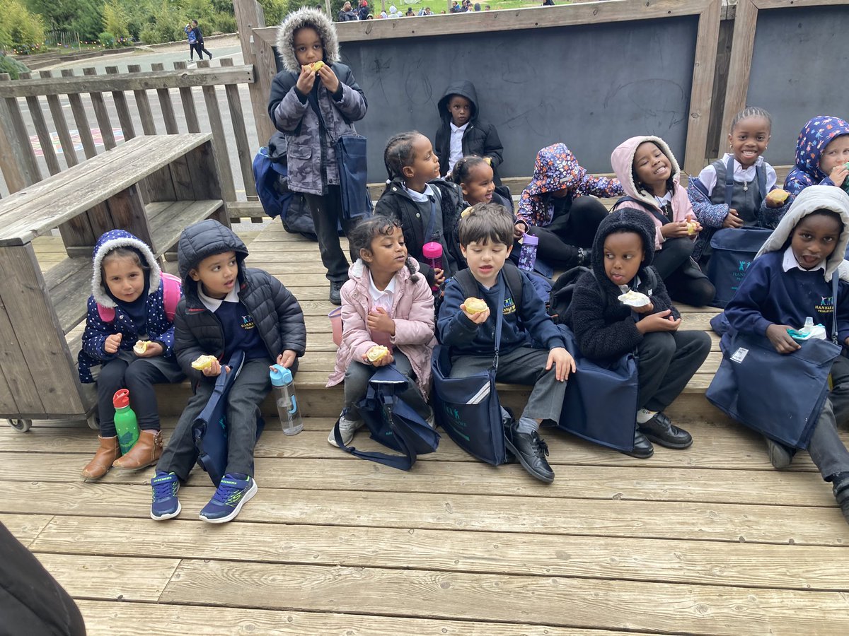 Hannah More Primary tweet media