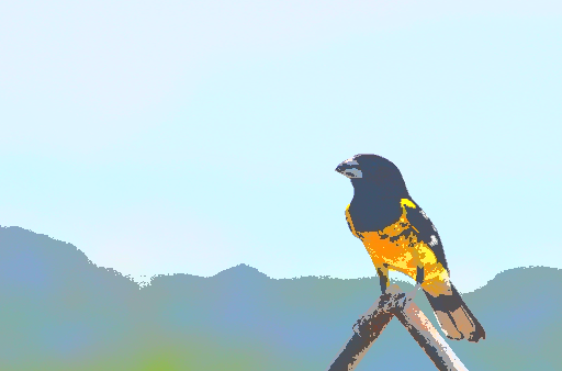 diegomarquezb's tweet image. 📸 Welcome to my daily series of visual creativity! Today I share this  stunning image of the "forest kingbird" in a posterized version. Isn't  it fascinating how its majesty stands out in this artistic  interpretation? #ImageOfTheDay #Posterization #photography #art