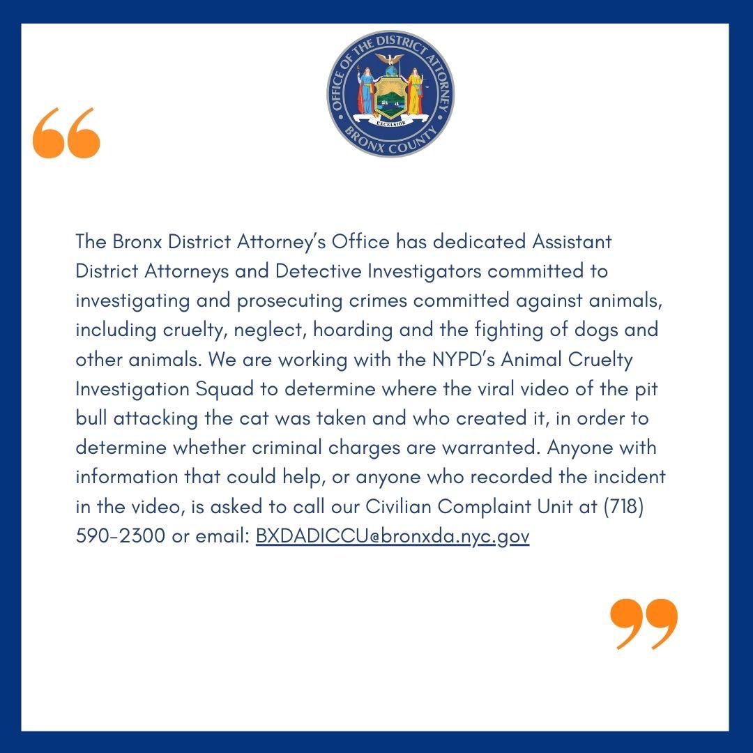 Statement on viral animal abuse video