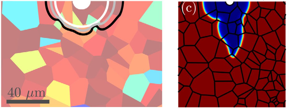 📢 New paper! We develop a new phase field model to simulate corrosion in polycrystalline materials. We capture the role of microstructure, electrochemistry and EDL. Led by Maciej, together with Mark Wenman and @SasaKovach. Just out in Corrosion Science: doi.org/10.1016/j.cors…