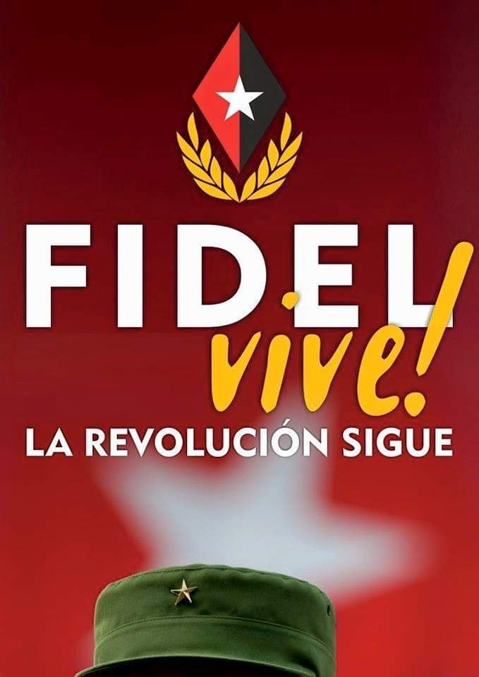 #FidelPorSiempre 'En Cuba la Revolución es una realidad consciente del pueblo y eso es un proceso verdaderamente democrático es una Revolución de mayorías' #Cuba #PorCubaJuntosCreamos