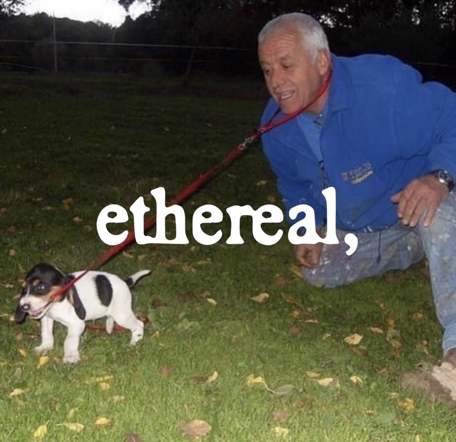 ethereal, tweet media