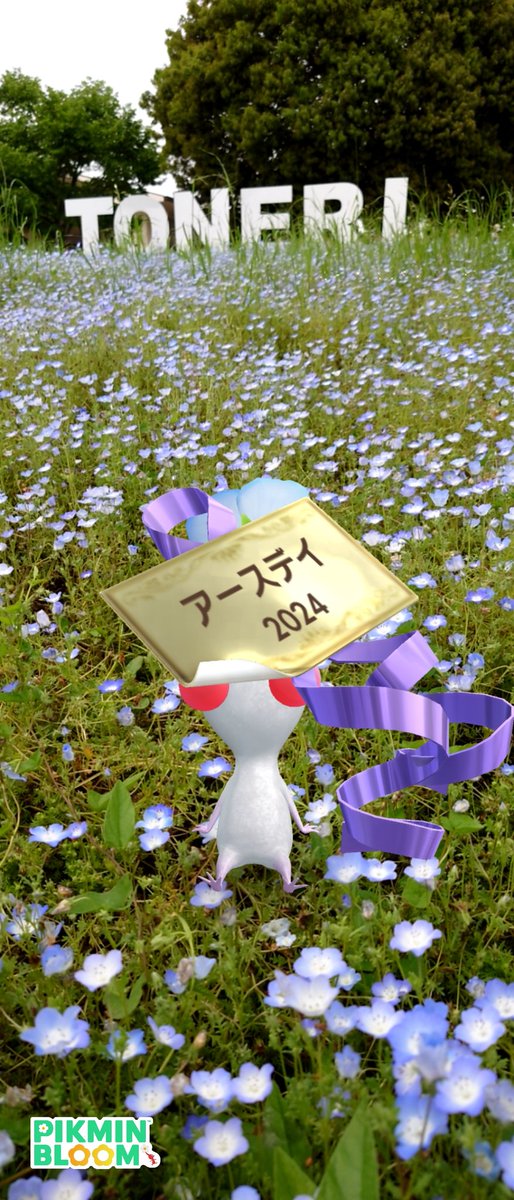 舎人公園にてネモフィラの花植え👣
ん〜っ、日本語表記は残念な感じ💦💦

#ピクミンブルーム
#PikminAR 
#EarthDay_PB