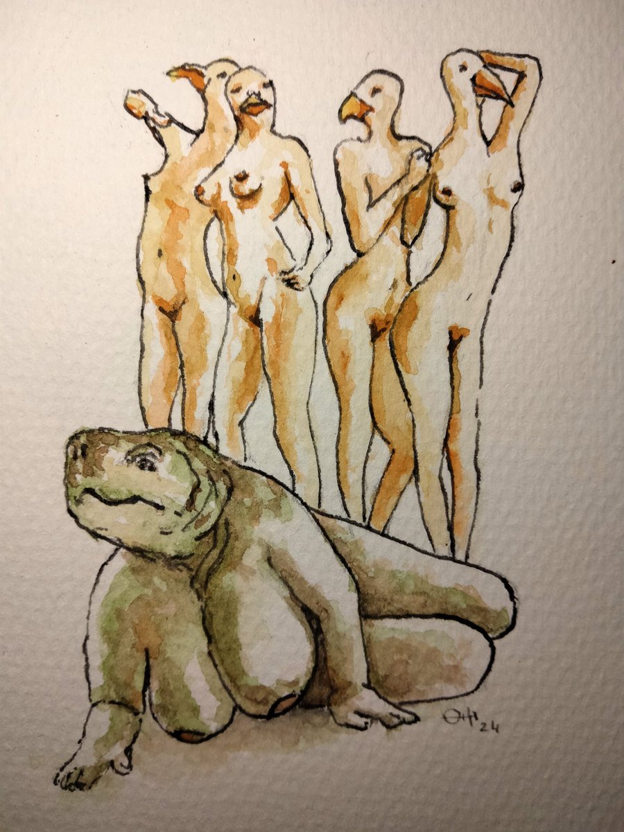 TORTOISE sunbathing with the SEABIRDS #thedailysketch #watercolour and #inkdrawing inspired by the fable #originalartwork #surrealart #nudeart #artforsale ebay.co.uk/itm/3261076878…