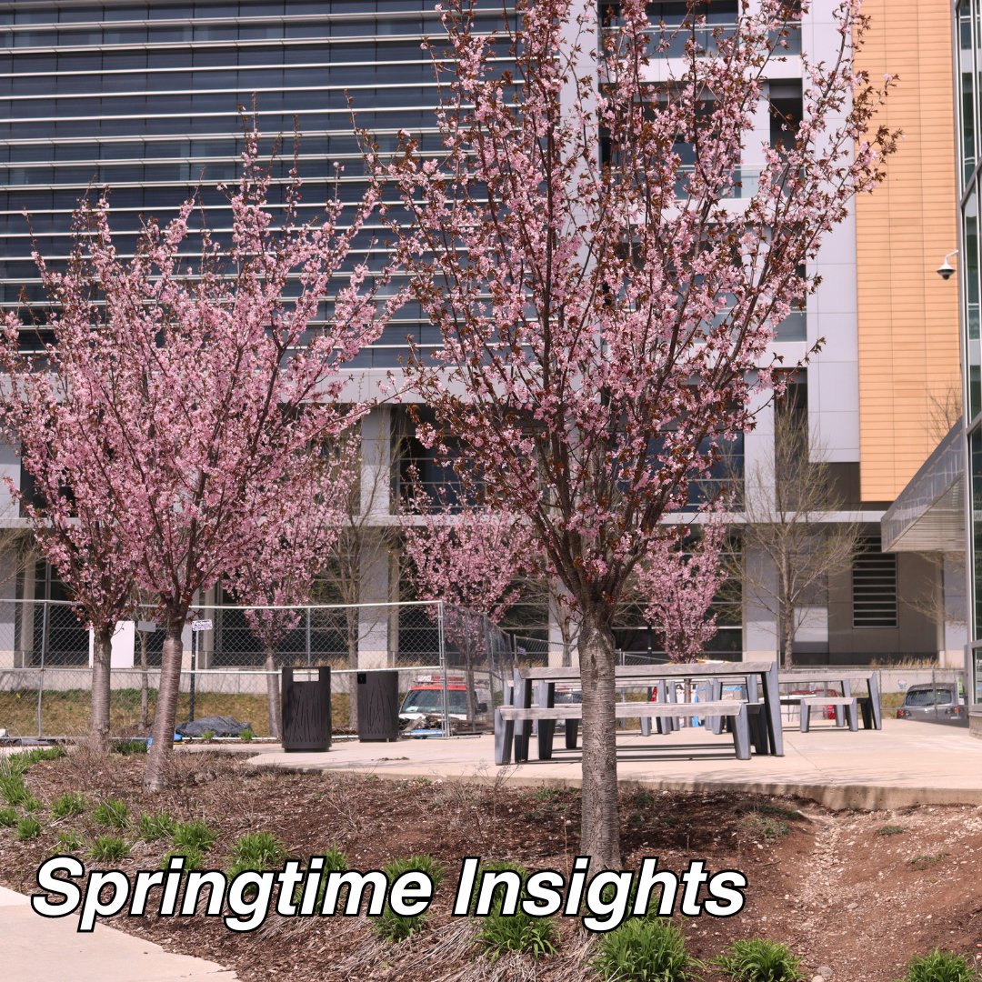 UWM Lubar Entrepreneurship Center tweet media