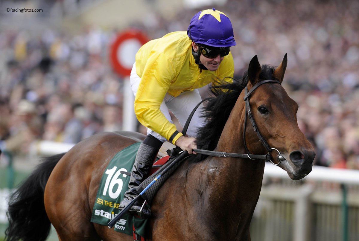 Fifteen years ago, champion Sea the Stars was victorious in the 2000 Guineas (G1). This year's race is on Saturday.