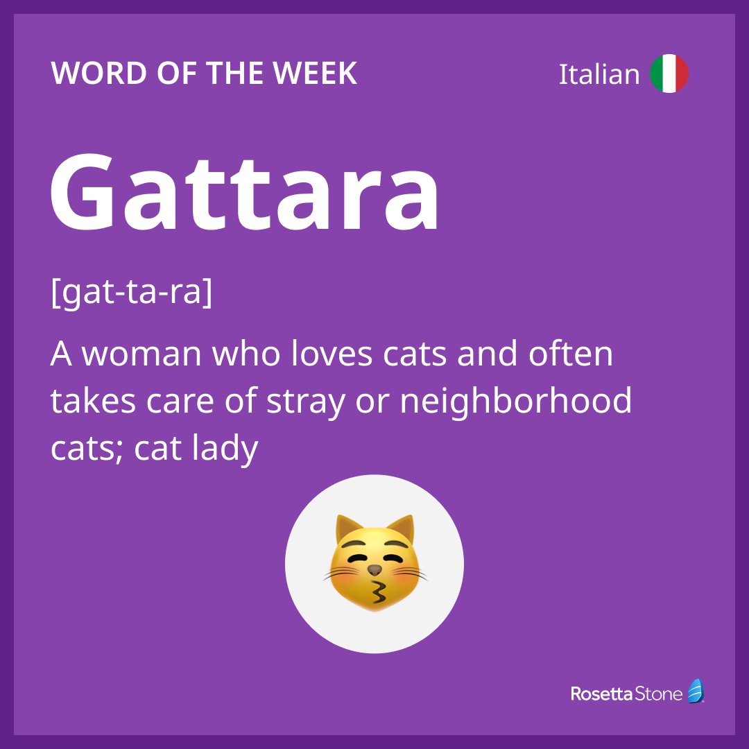 Tag your favorite #catlady. 😸

This week's #WordOfTheWeek is #gattara.  

Gattara is derived from the word gatto, meaning “cat”. 

A masculine version exists, gattaro, but is uncommon. This is because the stereotype associated with the term gattara often involves a woman.