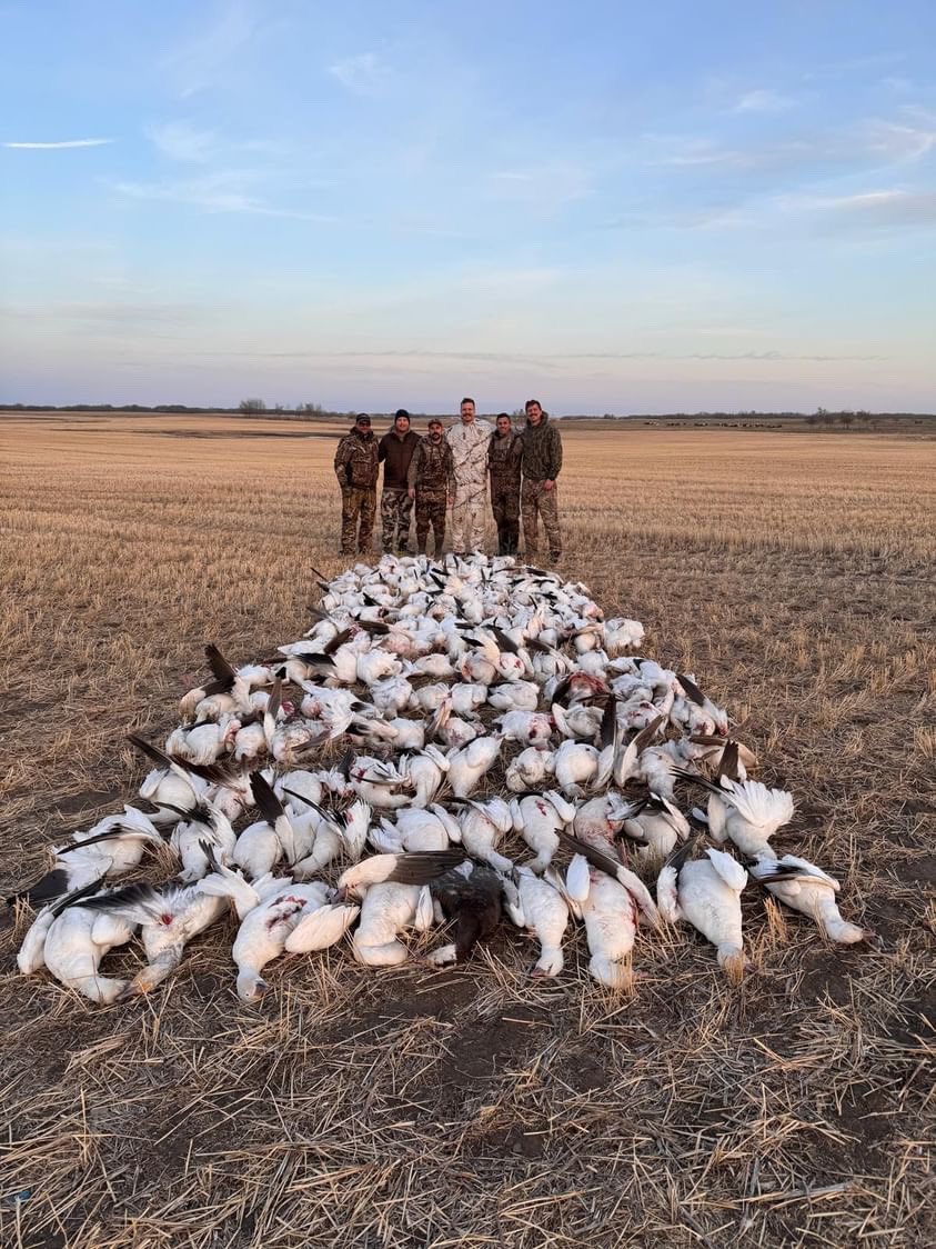 I’d say this is a pretty good day for these fellas in Alberta Canada(136 birds)