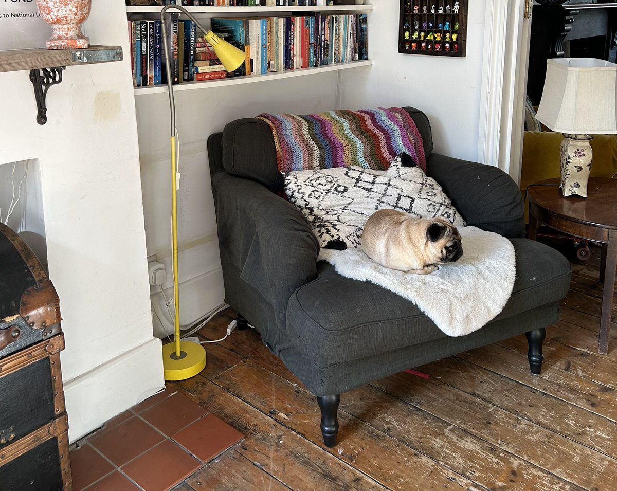 Just about to be interviewed by @RobDBalfour1 and his co-host Niamh for their Kintsugi Conversations podcast - can you spot the loaf? Should she stay or go? (She behaved abysmally during a Zoom today. She chased the cat, upended the bin and barked at planes) Joys of having to…