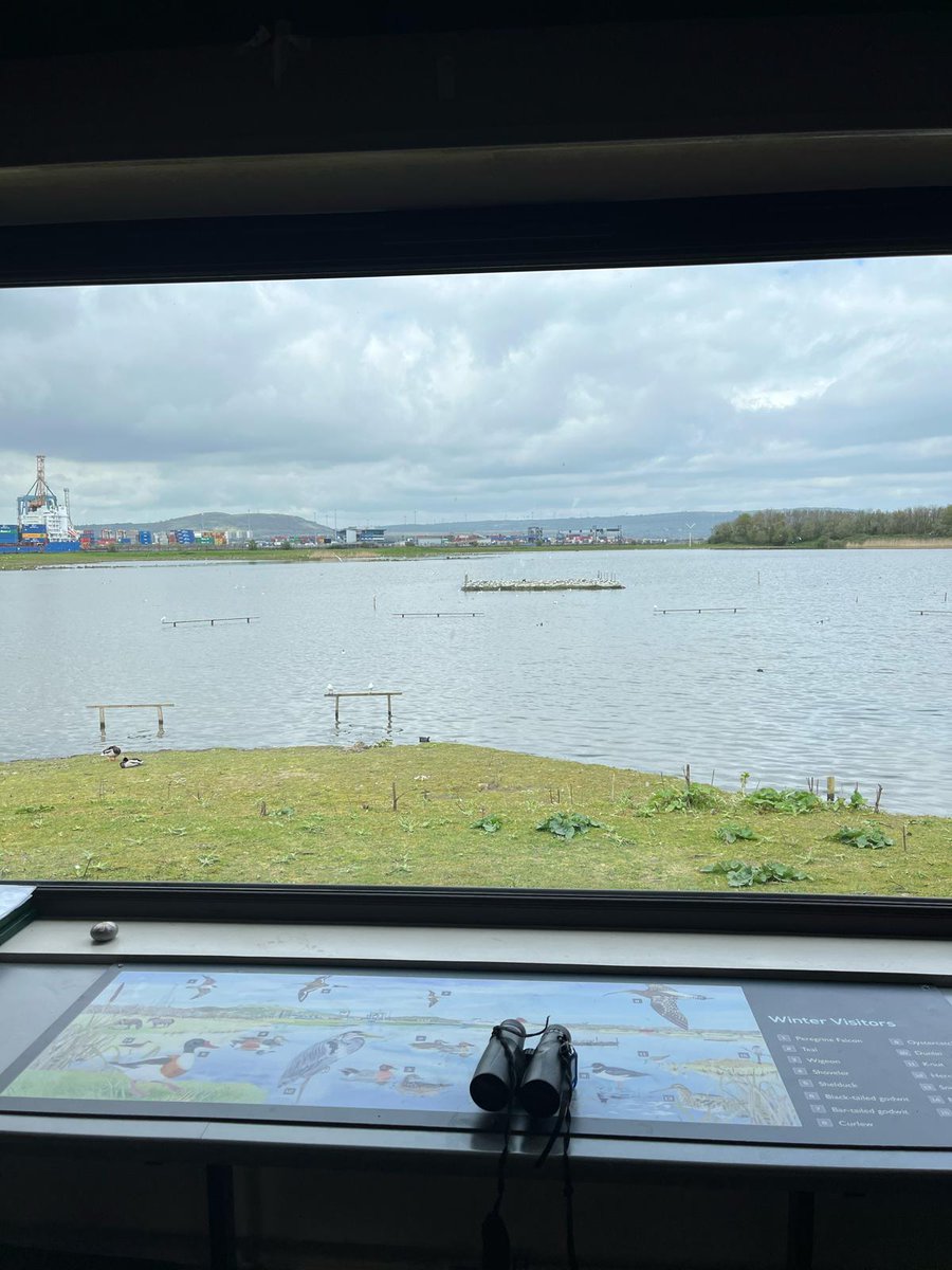 Brilliant trip to the @RSPBNI Window on Wildlife Centre @BelfastHarbour last week, where I caught a glimpse of the wildlife on Belfast Lough. 🦆 Would recommend a visit!