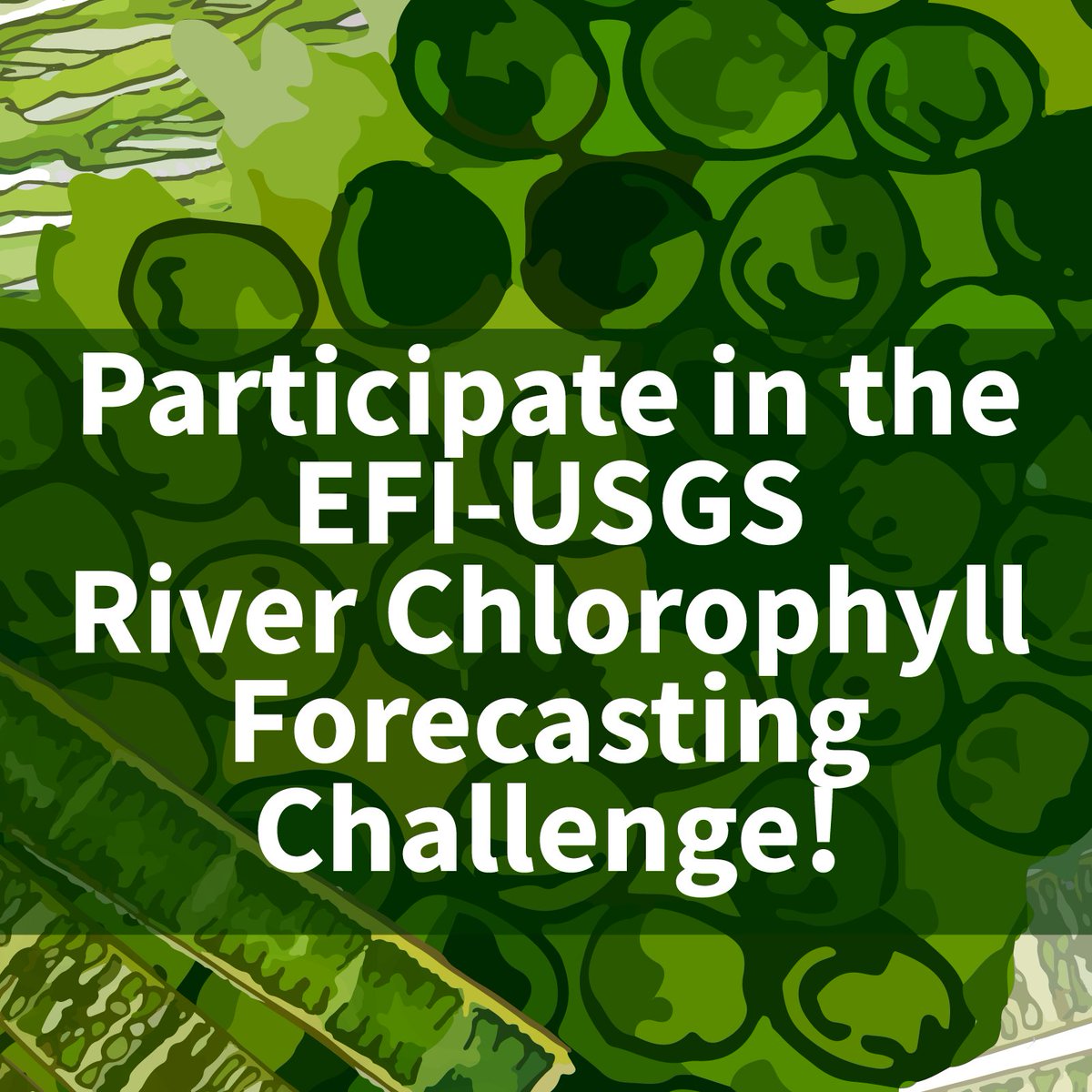 Join the challenge to forecast river chlorophyll with EFI-USGS River Chlorophyll Forecasting Challenge co-hosted by @eco4cast and @USGS_Water! Sharpen your skills & contribute to vital research! #HABs #Forecasting #WDFN #WaterData #OpenScience Read more: waterdata.usgs.gov/blog/habs-fore…