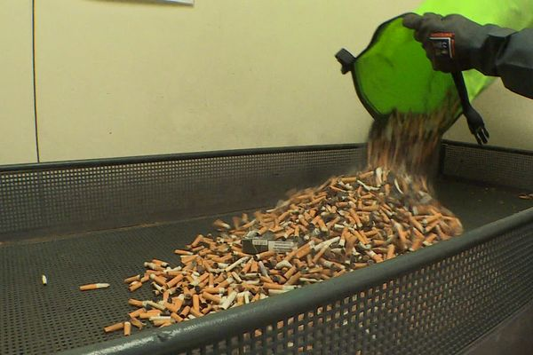 Tchaomégot, la startup de recyclage des filtres de cigarettes, lève des fonds pour passer à l'échelle industrielle france3-regions.francetvinfo.fr/hauts-de-franc…
