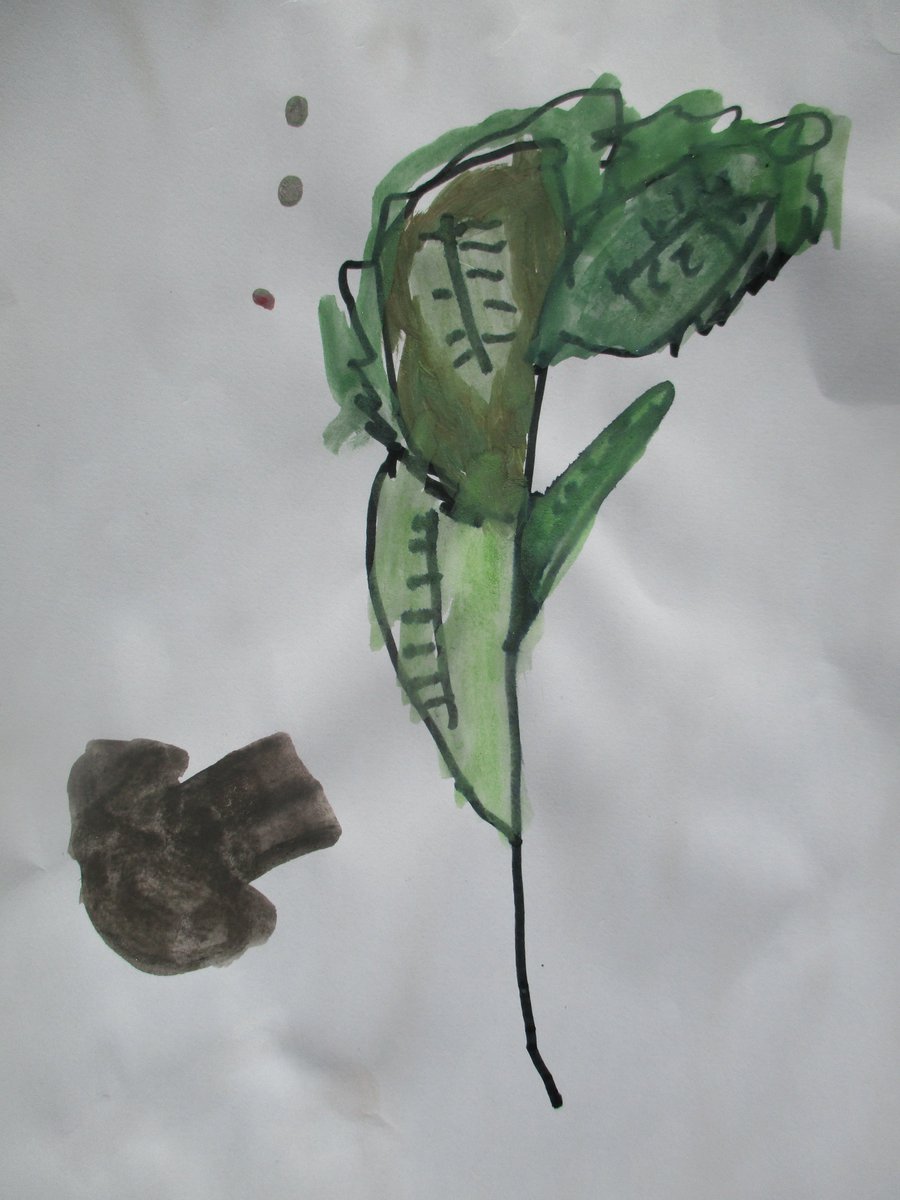 We drew and painted plants.
“I draw pictures of a mushroom and some leaves."
“I’m making a bigger picture for my friends to see, stem, leaves, flowers.”
“The leaf is alive.”
"A worm in my garden, wriggly, eating seeds."
“The frog hopped in the pond.”
“The flowers smell yummy."
