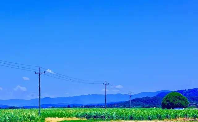 Geradora de #eletricidade de #biomassa é liberada para funcionar no #MatoGrosso: etanolnews.blogspot.com/2024/04/gerado…