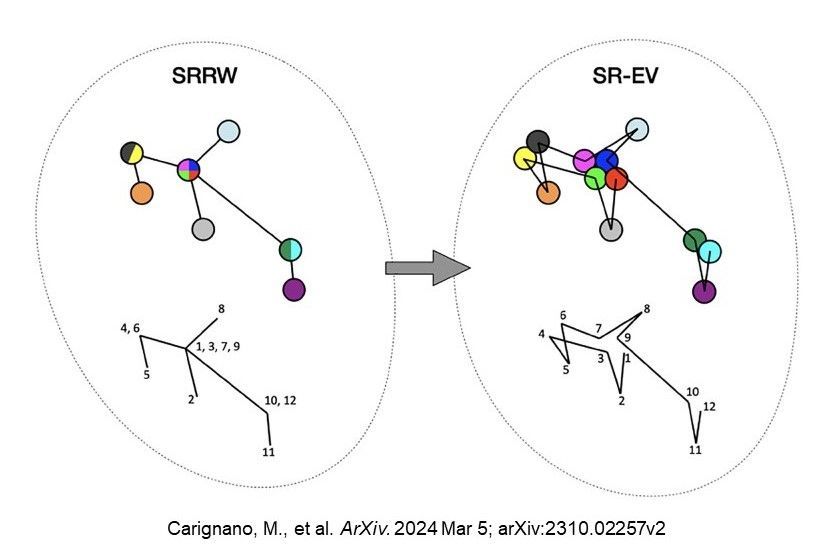 Researchers @NorthwesternU #CCBIR developed the Self Returning Excluded Volume (SR-EV) model to enable studies of chromatin structure @arxiv ncbi.nlm.nih.gov/pmc/articles/P….