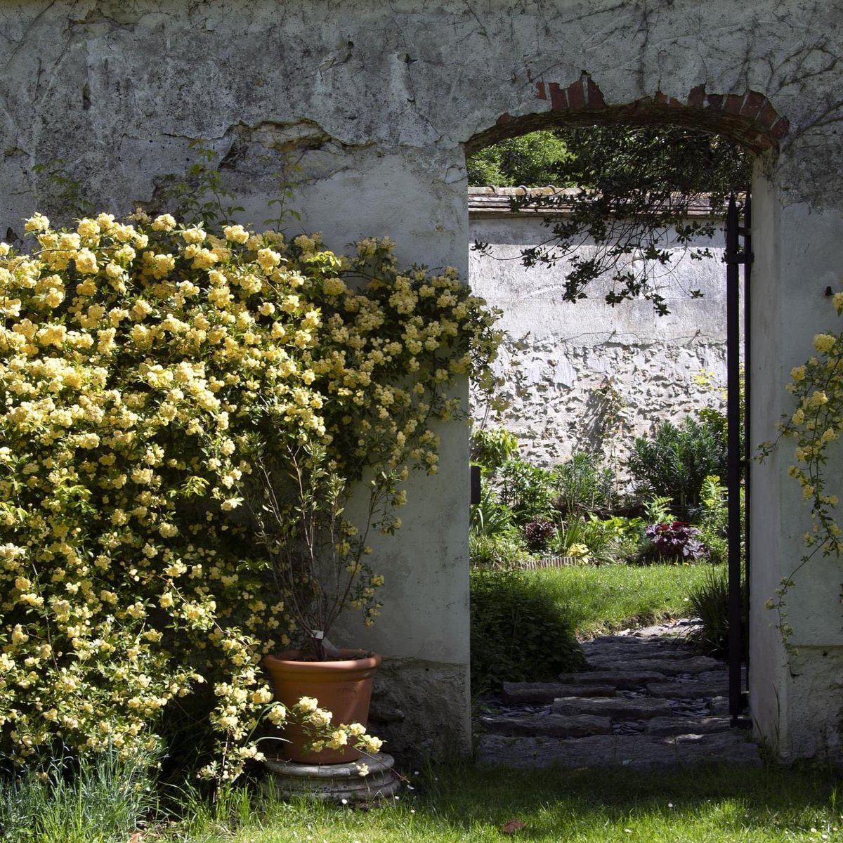 🇫🇷 🌸☀ Le printemps au jardin du parfumeur. 🌏🌸☀ Springtime in the perfumer's garden. Le jardin du parfumeur a été réalisé avec le soutien de la Maison Francis Kurkdjian. The perfumer's garden was created with the support of Maison Francis Kurkdjian