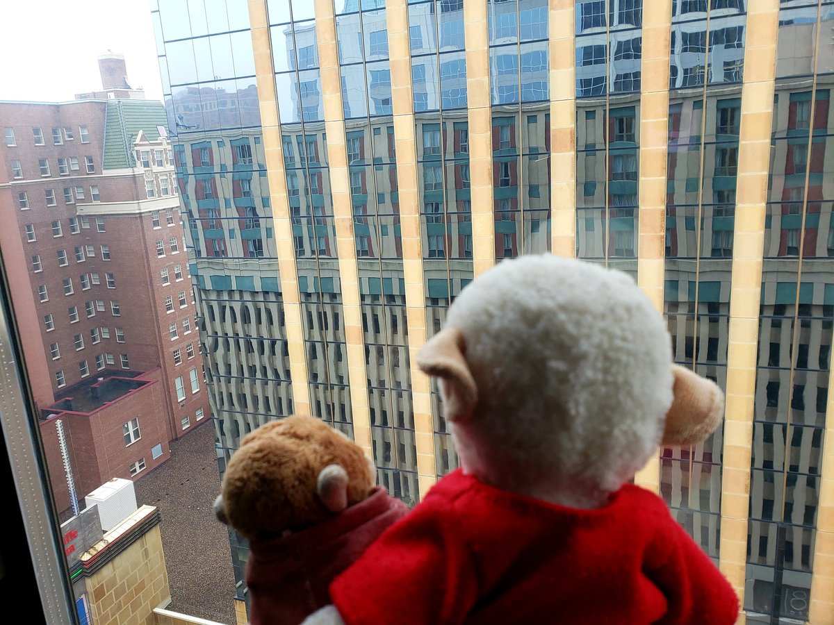 TravelingMocha's tweet photo. Goodbye.... building in downtown Minneapolis. We are flying home today! #MonkeyBusiness #MinnesotaMonkeys https://t.co/dFyUGipjZb