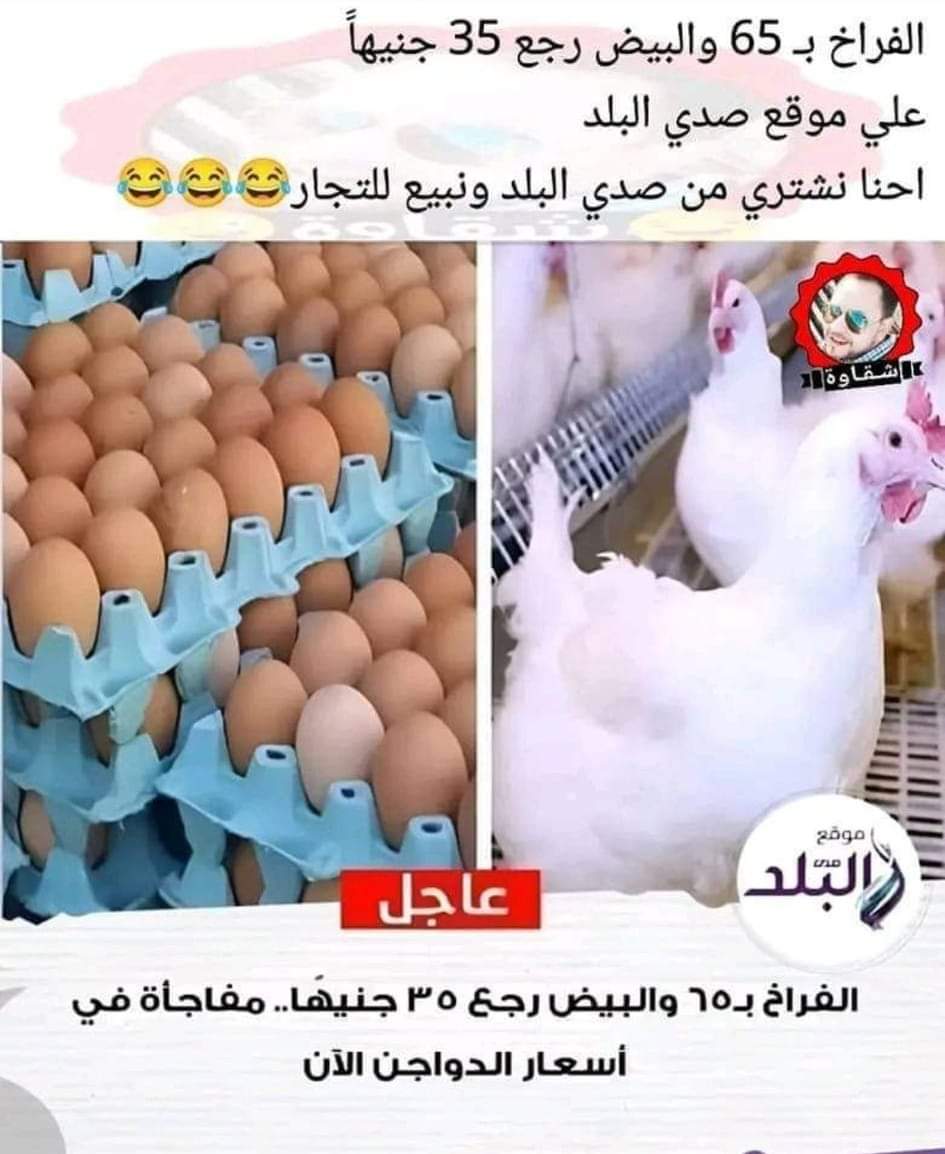 سوق صدي البلد