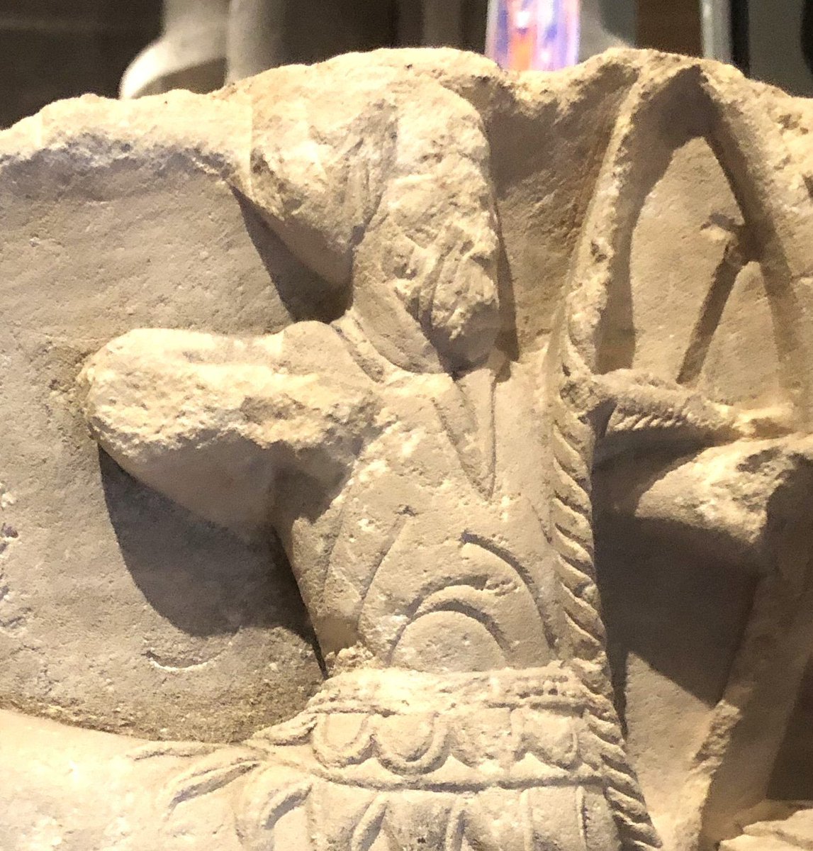 New Curious about collections blog-'Capitals & Mythical Creatures' Read about the cathedral's collection which includes examples of Romanesque capitals: bit.ly/3UhOhOF Don't forget to visit the ground floor of the Kings & Scribes exhibition where a capital is on display