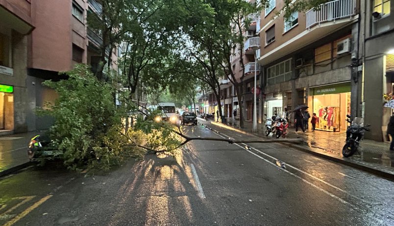 Resultat d’anys de zero manteniment. Barcelona, carrer de Calàbria fa una estona.