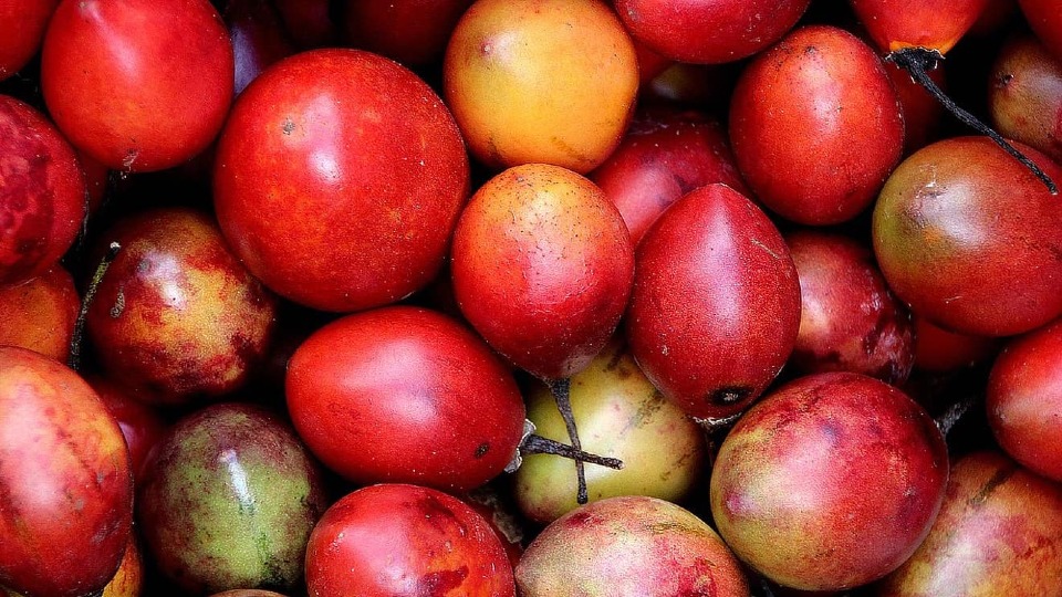 Keep it cool with Sealion's Cold Chain Logistics! Our expert team ensures your perishable cargo stays at the right temperature with on-site cold storage, refrigerated trucks, sealed air/ocean containers, cold-chain delivery, and constant monitoring en route. #SealionCargo