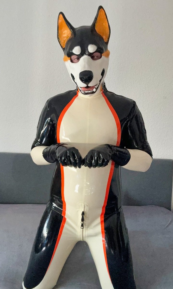 just puppy thoughts 🐾 #LatexFur #RubberFur #Latex #Rubber