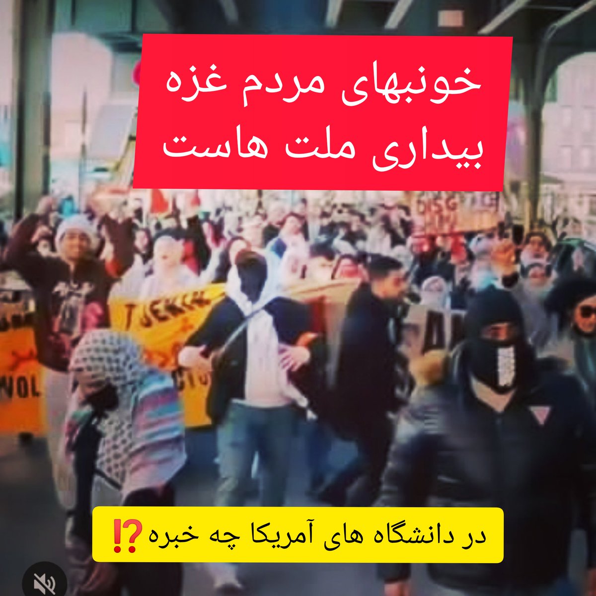 sarbaz16362's tweet photo. #StudentsForGaza https://t.co/tG94VVfIvW