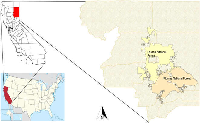 PUBLISHED: Thinning and Managed Burning Enhance Forest Resilience in Northeastern California

Click here to read the latest free, Open Access article from Ecosystem Health and Sustainability: spj.science.org/doi/10.34133/e…