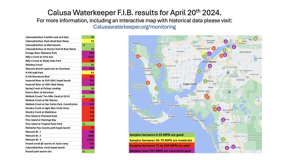 Our independent Fecal Indicator Bacteria results gathered and processed by volunteer rangers April 20, 2024. Not sure we've ever seen a most probable number as high as Manuel's Branch this month. View our historic data at calusawaterkeeper.org/issues/bacteri…