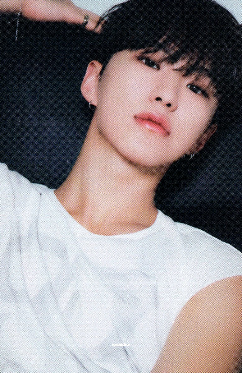 [SCAN] DEAR 버전 #호시 #세븐틴