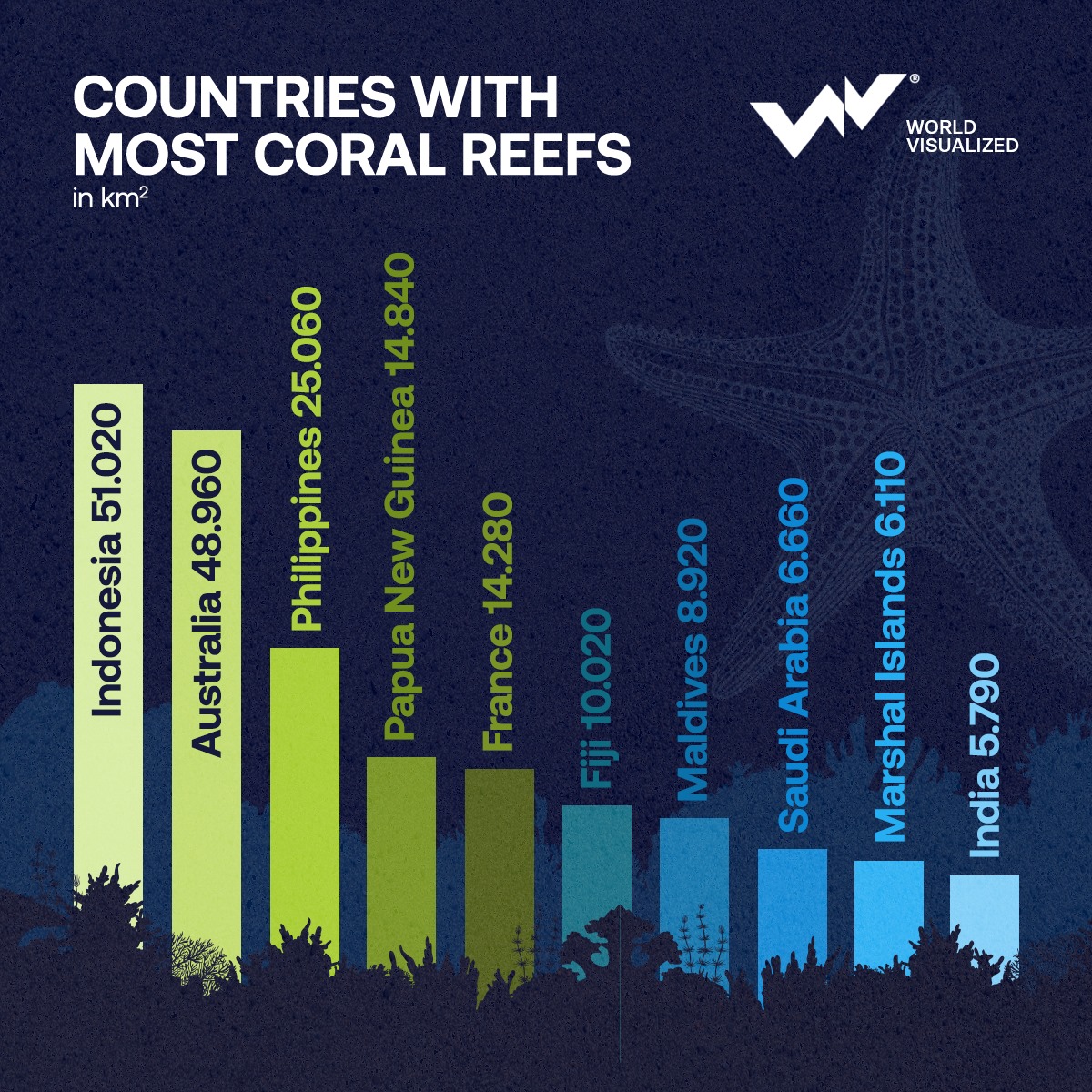🐢🌍 Celebrating majestic coral reefs worldwide, emphasizing protection and preservation. Indonesia leads, followed by Australia. Pledge for marine conservation and biodiversity. #CoralReefs  #MarineConservation #DiveIntoNature #Indonesia #Australia #Philippines