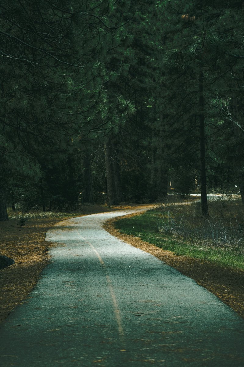 Wanna go on a bike ride?
'
'
'
'
Did you know there is a paved bike path that spans all about Yosemite Valley.
'
'
'
#yosemite
#yosemitenationalpark
#bikeride
#bike
#sony
#sonyphotography
#naturelovers
#scenicviews
#naturephotography
#earthfocus
#exploretocreate