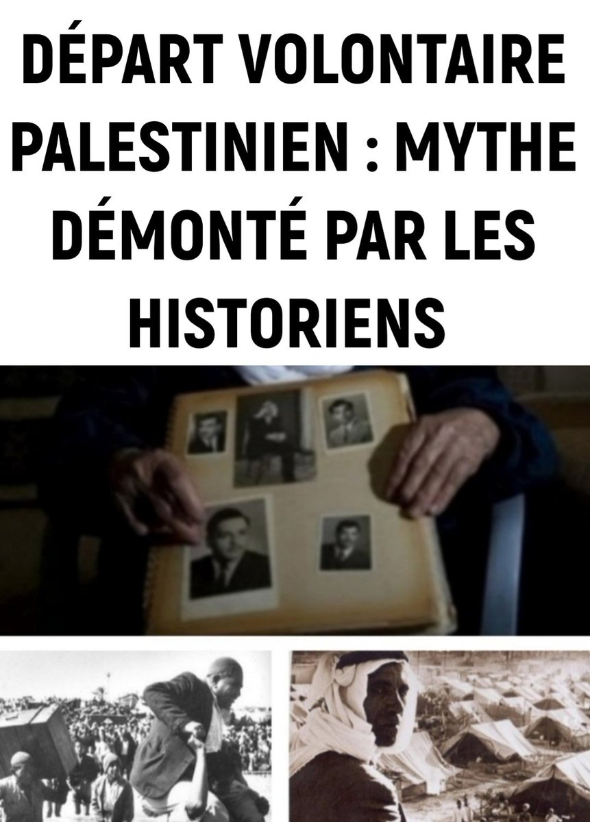 L'historien israélien Benny Morris est clair à ce sujet : 'Il n'existe aucune preuve démontrant que les États arabes et l'AHC voulaient un exode massif ou ont émis des ordres ou des appels généraux aux Palestiniens pour qu'ils fuient leurs foyers' 4/25