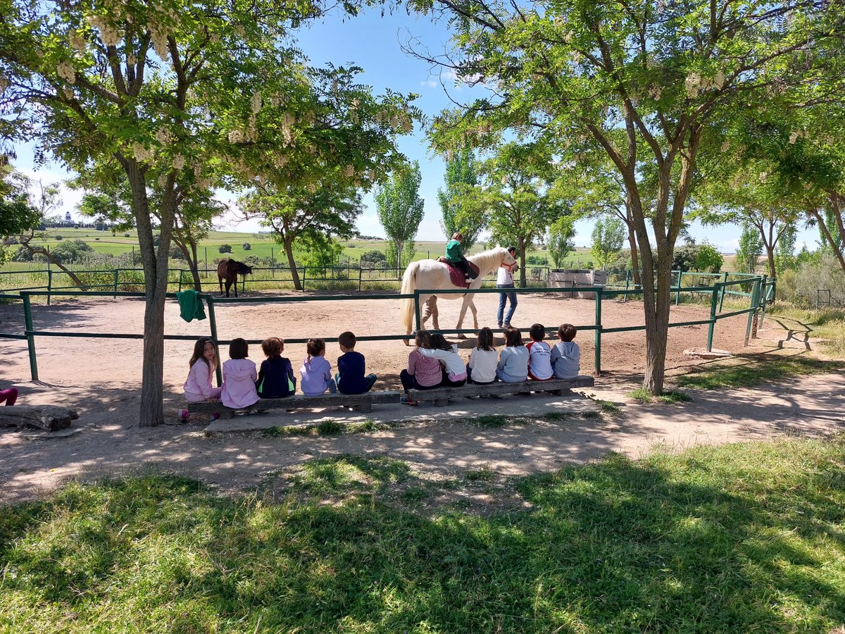 CEIP_VFerrer's tweet photo. Los peques de 5 años se han ido a pasar la noche a la  @GranjaAlbitana. Un día fantástico en la naturaleza entre animales, plantas, talleres, canciones... Un recuerdo que no olvidarán junto  con sus compañeros y sus profes de infantil del @CEIP_VFerrer. https://t.co/3ZHIpRB480