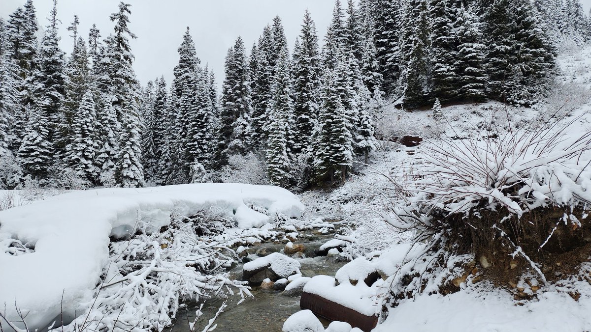 Falls Lake Trail views from the top of the Coquihalla this morning in SW BC. #bcstorm #shareyourweather