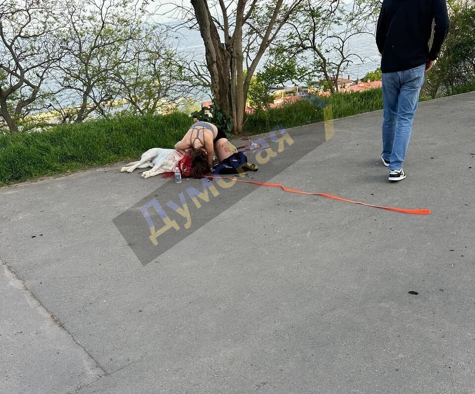 russian terrorists attacked Odesa in the middle of the day with rockets with cluster munitions. Two people and a dog were killed.