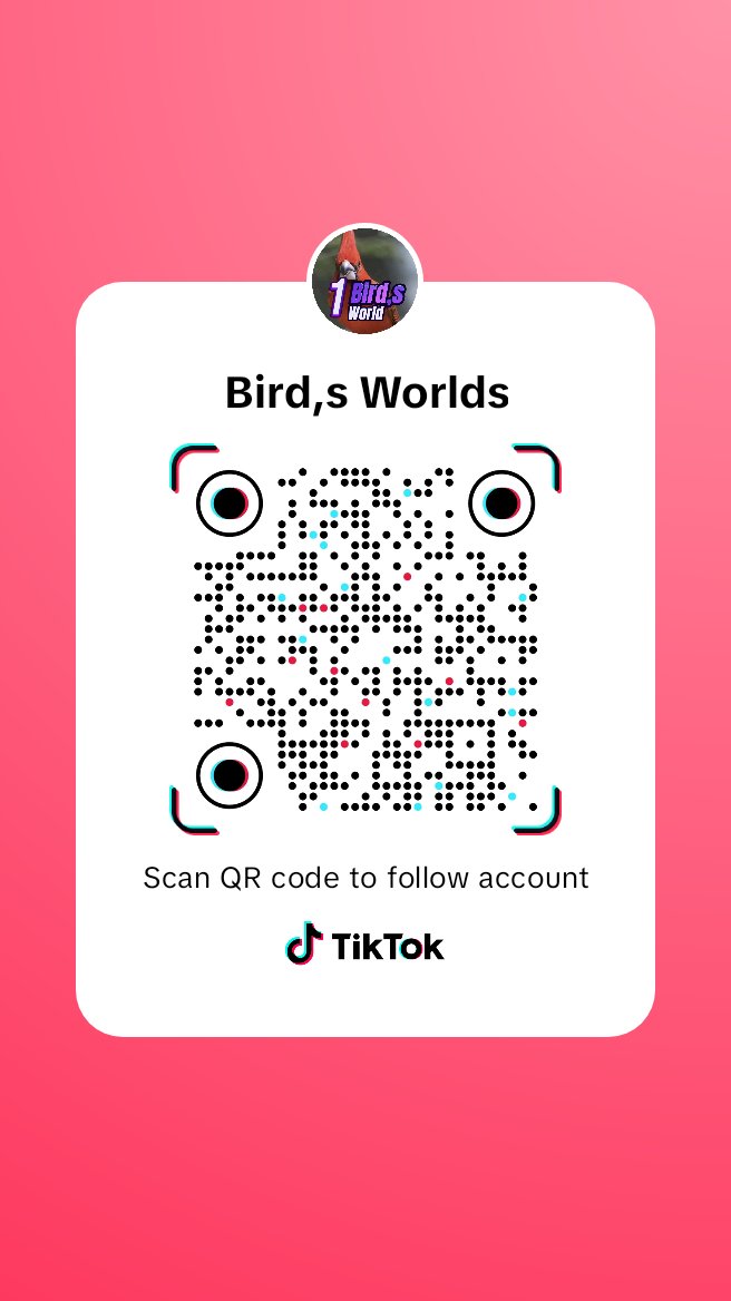 Follow me on tiktok.