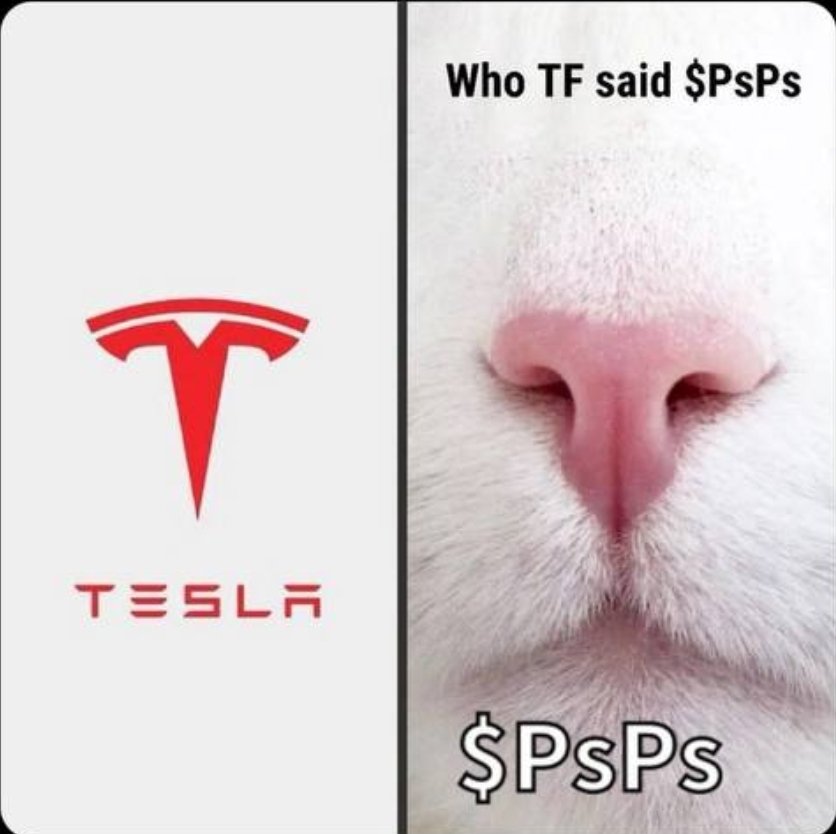 @elonmusk Inspiration behind the TESLA logo was $PSPS ? BOBACAT @BobaCatPsps