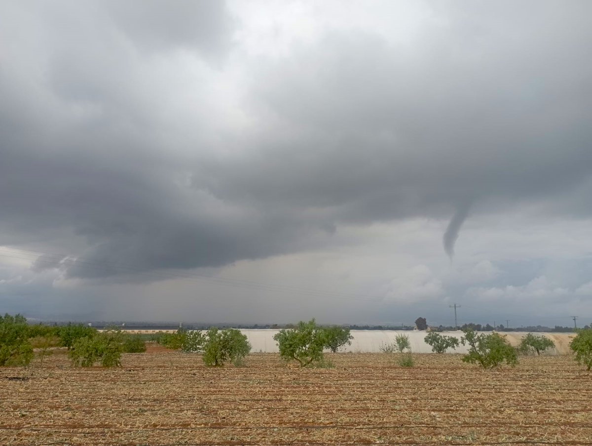 MeteOrihuela tweet picture