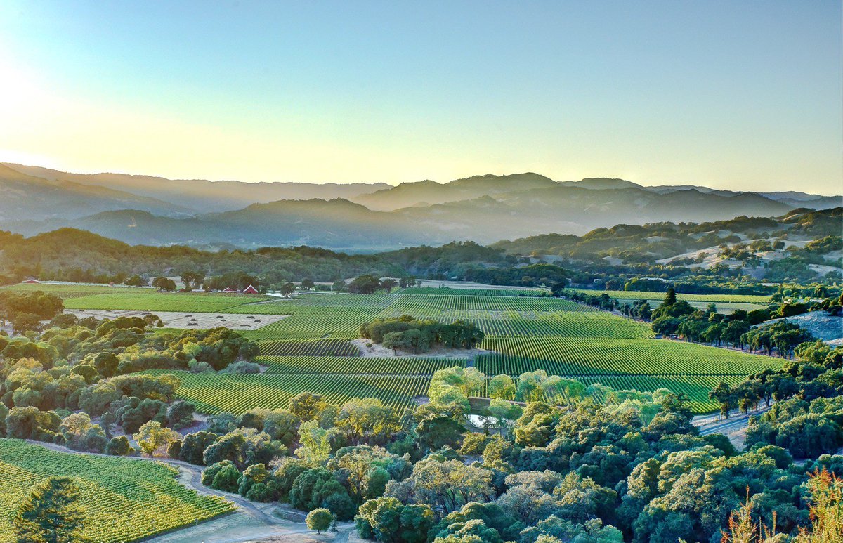 #RuralCountyPhoto: A vineyard nestled amidst rolling hills in #MendocinoCounty is RCRC’s rural county photo of the week. This scenic photo was captured by David Fidjeland and submitted to #RCRC’s Annual Rural County Photo Contest in 2022. #RuralCounties