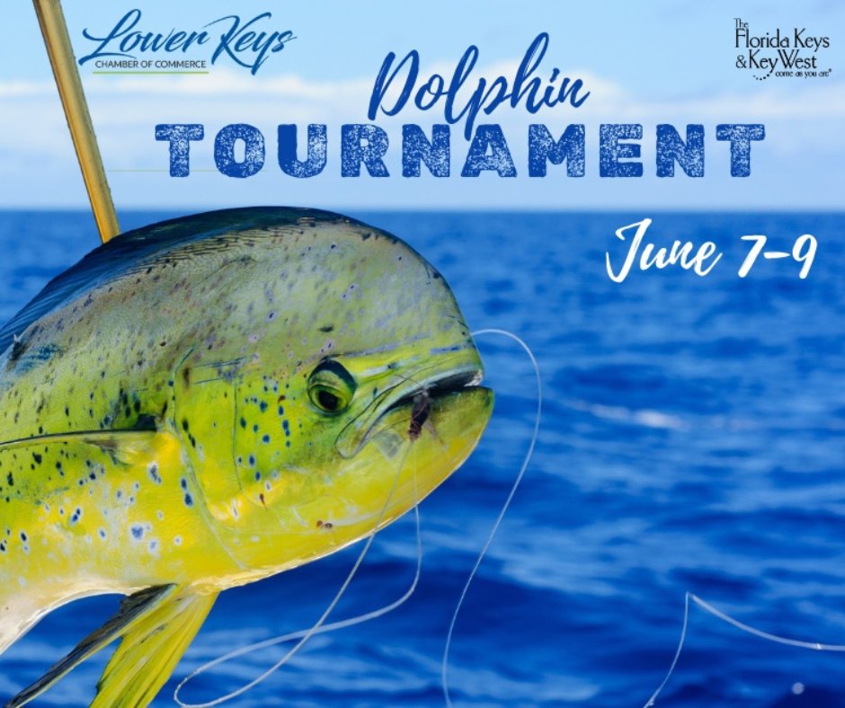 The 31st Annual Dolphin Tournament is almost here! Join us for a chance to win over 35,000 in cash and prizes!!🎣 🏆 💰 Learn more and sign up here! bit.ly/4bhkSuA