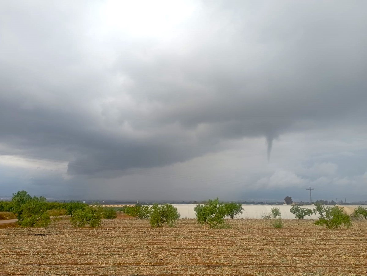 MeteOrihuela tweet picture