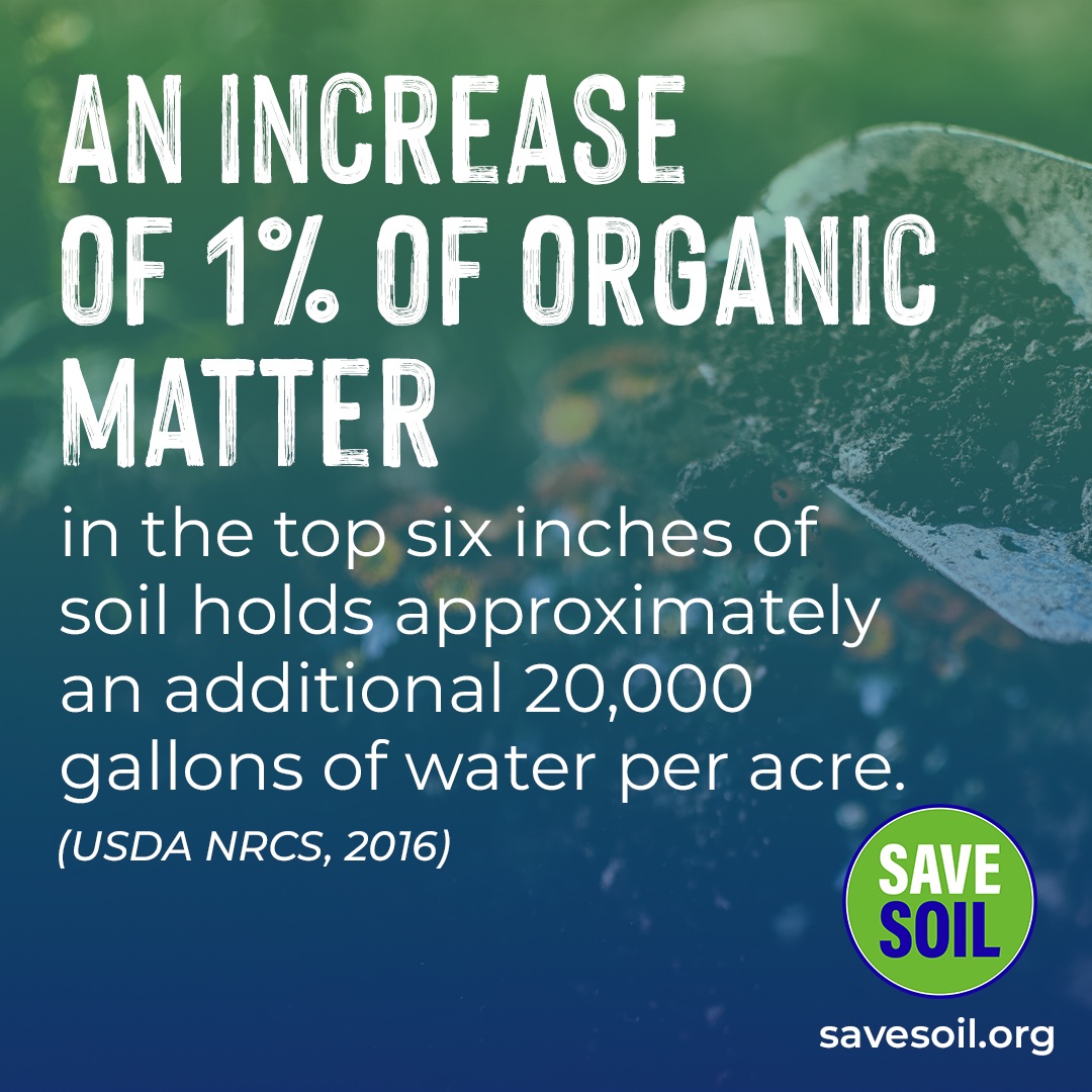 The USDA states that if the top six inches of soil had just one percent of organic matter, then soil could hold approximately 27,000 gallons of water per acre. #SaveSoil #SoilforClimateAction #SaveSoilFixClimateChange