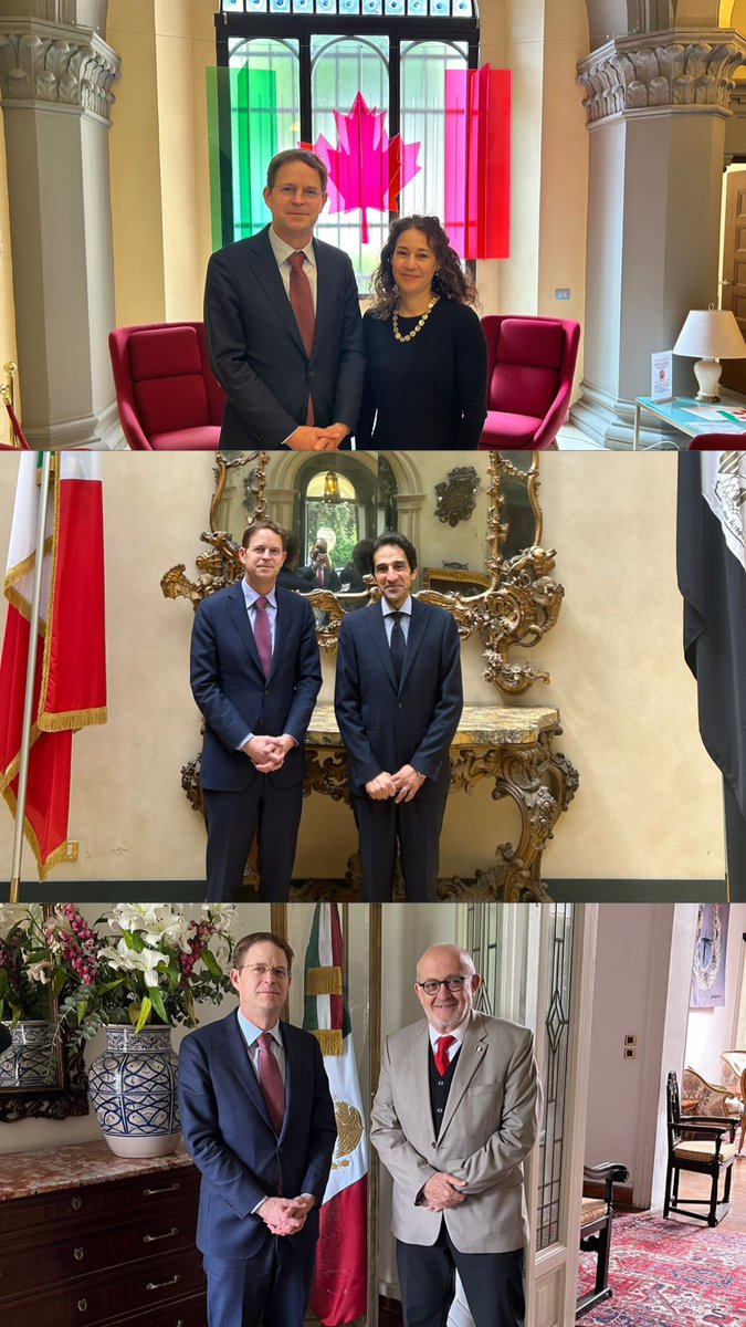 Last week’s meetings with, 🇨🇦@CanadainItaly, 🇪🇬, and 🇲🇽@MisionMexRoma focused on areas of collaboration and the need to address global hunger hotspots like Gaza, Sudan, and Haiti. This underscores the heightened opportunity for cooperation to fight hunger and advance…