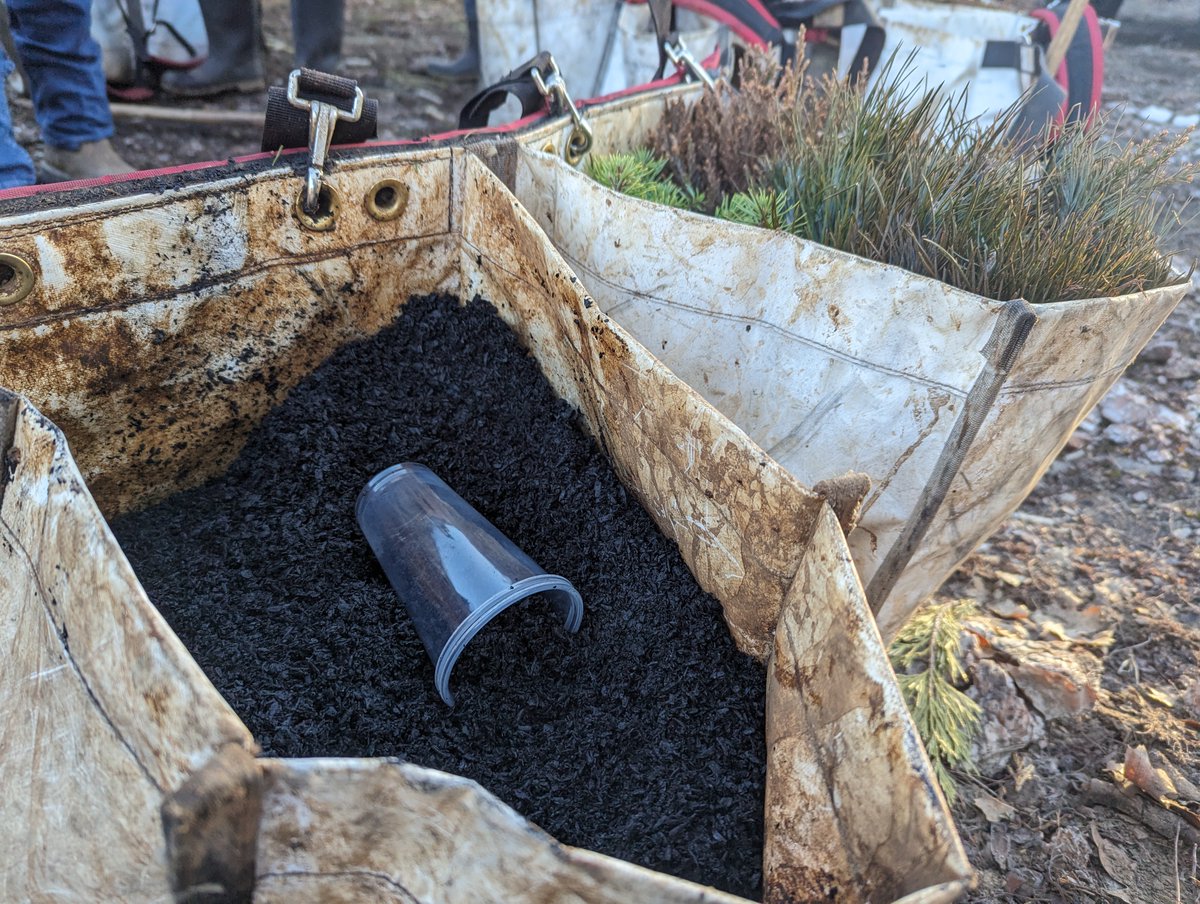 Have you heard of #biochar? @AmericanForests is experimenting w/ using biochar during #reforestation on the @sequoiaforest to monitor impacts & outcomes. Biochar may ⬆ soil water retention, enhance soil fertility &increased soil aeration. Lets see! #climatesmart #SouthernSierra