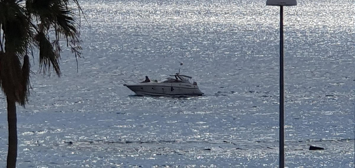 Nick_Mitsh1 💙 tweet media