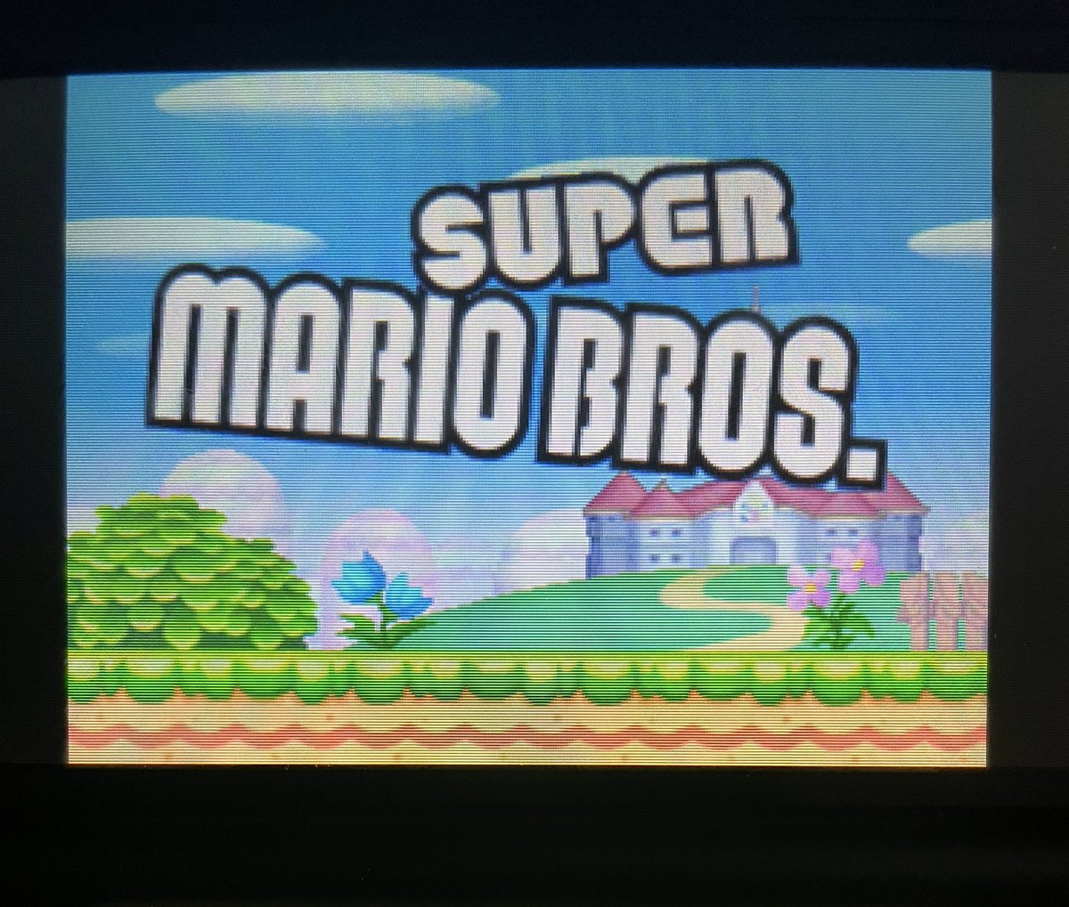 excited to play some super mario bros, hope they dont add anything new to it